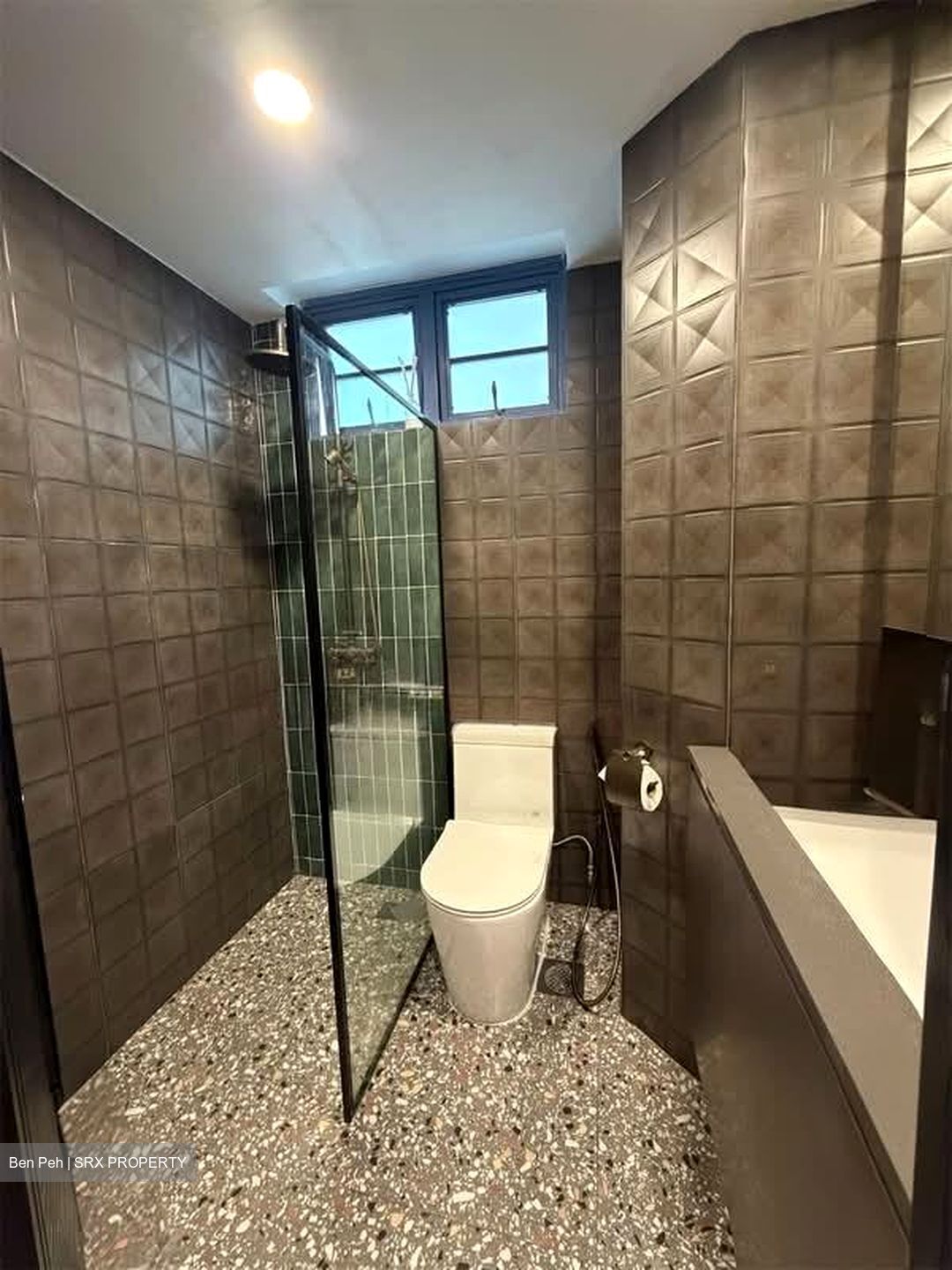 Sanctuary Green (D15), Condominium #604293041
